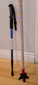 Montréal HôpitalVillaMedica NER21 (5)